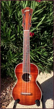 UC3-KSB UKULELE